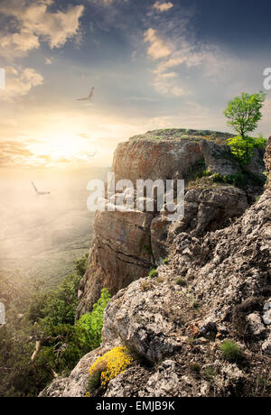 Grandi uccelli sulla montagna altopiano al tramonto Foto Stock