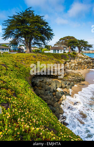 Scogliere lungo l'Oceano Pacifico a Santa Cruz, in California. Foto Stock