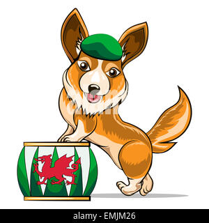 Corgi e tamburo Foto Stock