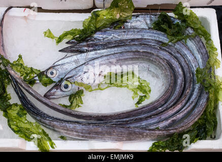 Lepidopus caudatus, pesce bandiera in italiano, al mercato del pesce,Napoli Foto Stock