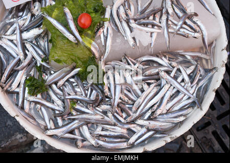 Acciughe, Mediterranea di pesce al mercato di napoli, Italia Foto Stock