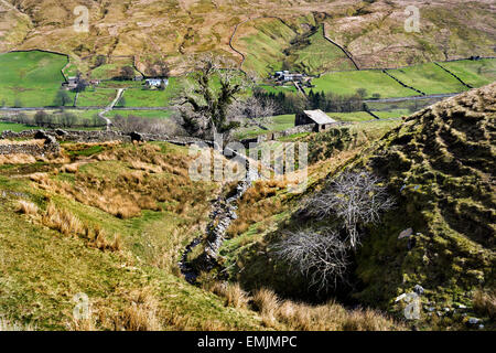 Guardando verso il basso la Pennine Bridleway a Hazelgill nell'area Mallerstang dell'Eden Valley, Cumbria Regno Unito. Foto Stock