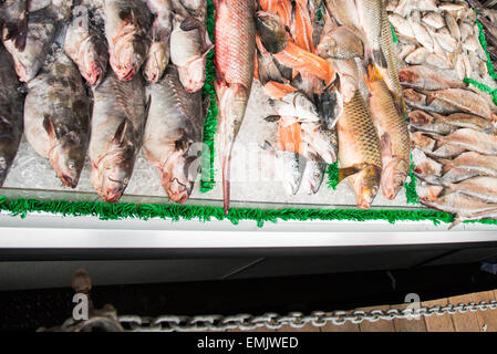 Mercato del pesce Foto Stock