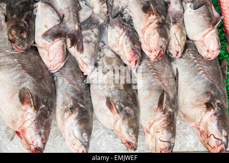 Mercato del pesce Foto Stock