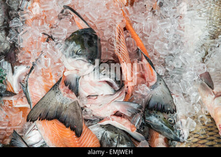 Mercato del pesce Foto Stock