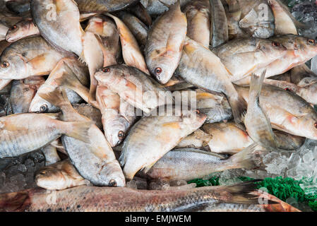 Mercato del pesce Foto Stock