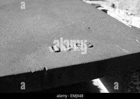 Campstove in Oak Grove Campeggio in Cleveland National Forest, California Foto Stock