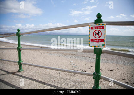 Welsh bilingue Inglese / segnaletica indicante stagionale zona cane divieto tra aprile e settembre a Criccieth beach Foto Stock