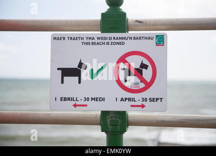 Welsh bilingue Inglese / segnaletica indicante stagionale zona cane divieto tra aprile e settembre a Criccieth beach Foto Stock