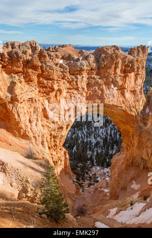 L'arco a Agua Canyon all'interno del parco nazionale di Bryce Canyon, Utah Foto Stock