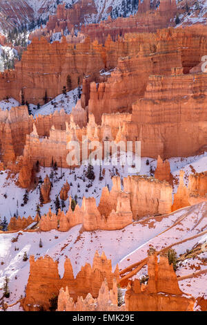 Bryce Canyon Hoodoos nello Utah Foto Stock