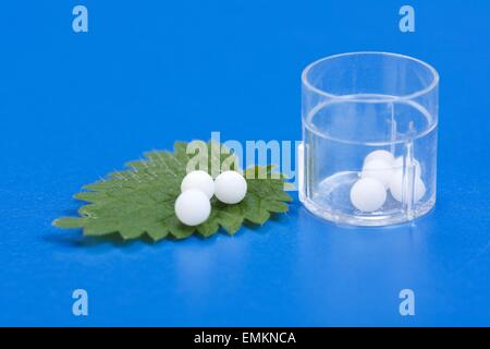 Pillole omeopatici su Urtica Urens foglia e in contenitore di plastica Foto Stock