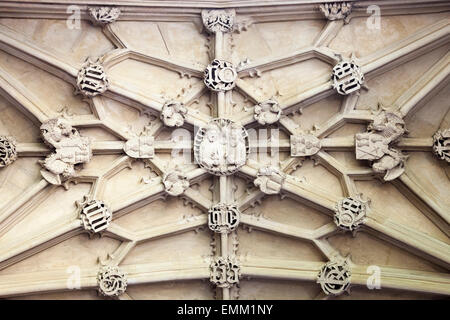 'Divinity School' soffitto dettaglio, [Bodleian Library], Oxford, England, Regno Unito Foto Stock