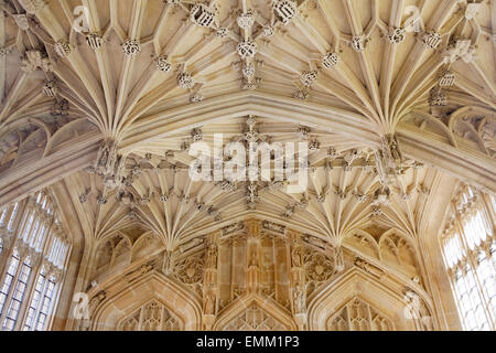 [Arco Gotico] e [vaulting ventola] design a soffitto, 'Divinity School', [Bodleian Library], Oxford, England, Regno Unito Foto Stock