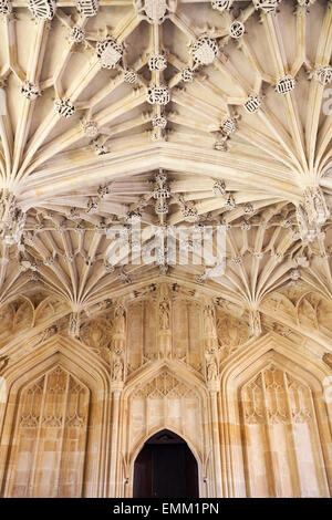 Università sala con soffitto a volta design, 'Divinity School', [Bodleian Library], Oxford, England, Regno Unito Foto Stock