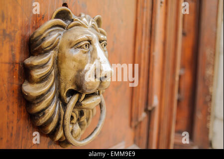 Respingente testa di leone su una porta di legno Foto Stock