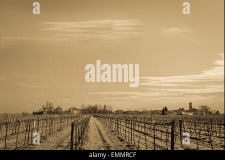 Effetto vintage. Il paesaggio agricolo con vigneto e agriturismo in background Foto Stock