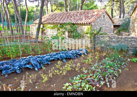 Pietra Mediterranea villaggio giardino vista di verdure Foto Stock