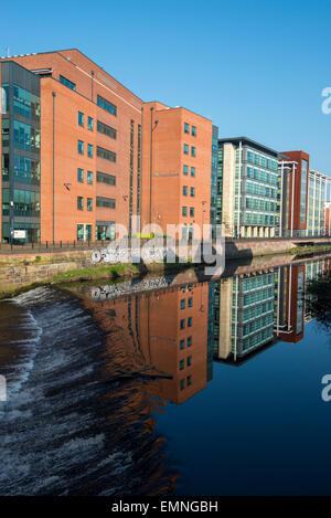 Edifici moderni da Rover Don nella città di Sheffield, South Yorkshire England Regno Unito Foto Stock