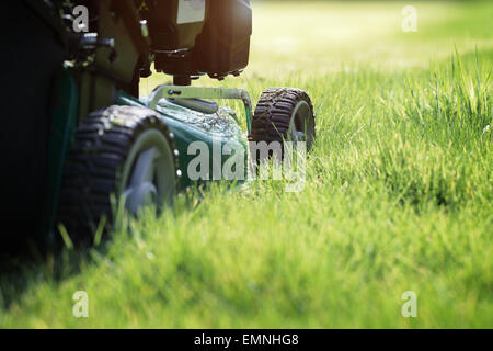 Falciare l'erba Foto Stock