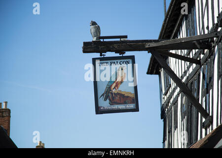 Legacy Falcon Hotel lungo Chapel Street, Stratford-Upon-Avon, Warwickshire, Inghilterra, Regno Unito, Europa occidentale Foto Stock