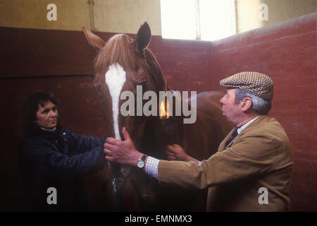 Brian Higham una lunga scopata al Duke of Beaufort Badminton House. Visto qui con stalla ragazza 'fiammeggiante' un cavallo; bruciando i peli molto piccoli del cavallo che sono fuori posto, in modo che il cappotto del cavallo sembra assolutamente perfetto. Badminton, Gloucestershire. 1995 1990s OMERO SYKES Foto Stock