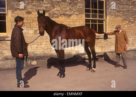 Brian Higham che serve a lungo Stud Groom presso la tenuta Duke of Beaufort Badminton House. Ispezione mattutina dei cavalli. 1995 1990S OMERO SYKES Foto Stock