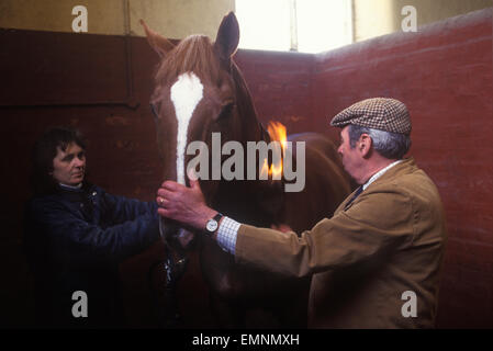 Brian Higham una lunga scopata al Duke of Beaufort Badminton House. Visto qui con stalla ragazza 'fiammeggiante' un cavallo; bruciando i peli molto piccoli del cavallo che sono fuori posto, in modo che il cappotto del cavallo sembra assolutamente perfetto. Badminton, Gloucestershire. 1995 1990s OMERO SYKES Foto Stock