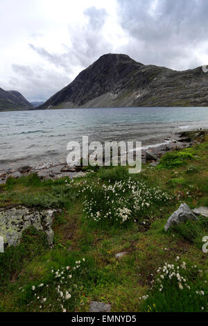 Vista sul lago Djupvatnet, nei pressi di Geiranger città patrimonio dell'Umanità UNESCO, regione di Sunnmøre, contea di Møre og Romsdal, Western né Foto Stock