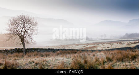 Thirlemere Valle sottostante Castlerigg Stone Circle, Lake District, Inghilterra Foto Stock
