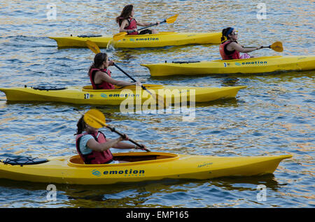 Un gruppo di giovani donne kayakers paddling in fiume Allegheny Pittsburgh Pennsylvania Foto Stock