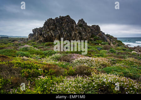 Cina Rock, visto dal 17 Mile Drive, Pebble Beach, California. Foto Stock