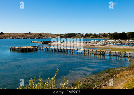 Il molo a Bodega Bay California Stati Uniti d'America Foto Stock