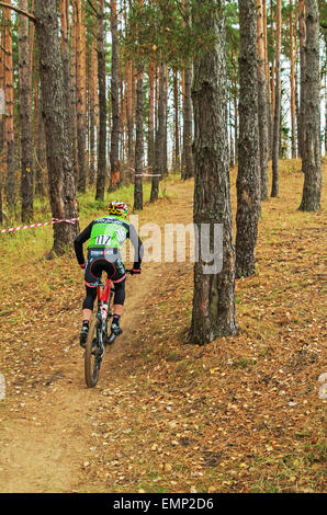 La Repubblica della Bielorussia campionato di cross-country ciclismo 19.10. 2014 - Il percorso della foresta. Gli uomini del ciclo di fase di gara. Foto Stock