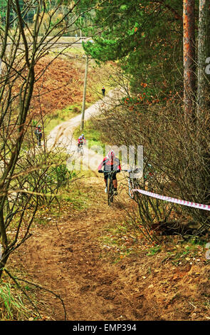 La Repubblica della Bielorussia campionato di cross-country ciclismo 19.10. 2014 - Il percorso della foresta. Gli uomini del ciclo di fase di gara. Foto Stock