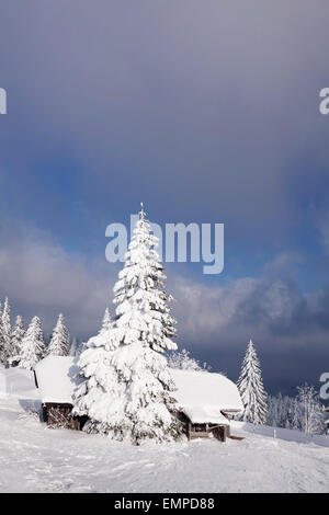 Coperte di neve cabina sulla montagna di Kandel, Foresta Nera, Baden-Württemberg, Germania Foto Stock