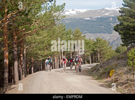 Persone ciclismo in Sierra Nevada, Alta Alpujarras, provincia di Granada, Spagna Foto Stock
