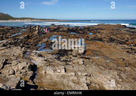 La costa rocciosa a Scarborough, un villaggio di mare lungo l'Oceano Atlantico vicino a Cape Town, Sud Africa. Foto Stock