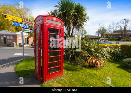 Telefono rosso scatola, erba verde Palm tree, acqua dolce, Isle of Wight, England, Regno Unito Foto Stock