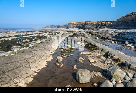 Strati di rocce sedimentarie rendere interessanti i disegni sulla spiaggia e le scogliere a Kilve nel Somerset, Inghilterra, Regno Unito Foto Stock