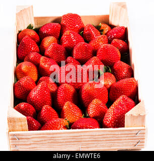 Fragola, fragole fresche nella scatola di legno in un carattere ecologico cibo sano frutto prezioso biodinamico rosso bello e grande Foto Stock