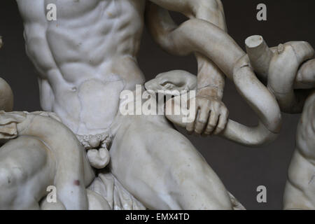 Arte ellenica. Lacoon e i suoi figli, e Antiphantes Thymbraeus essendo attaccato da serpenti di mare. Dettaglio. Musei Vaticani. Foto Stock