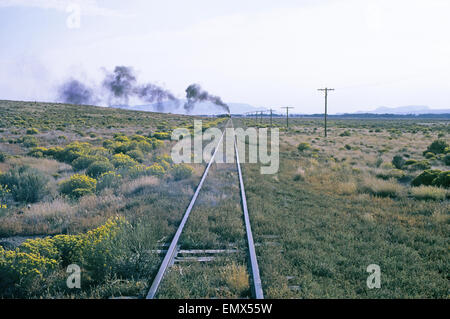 Una locomotiva a vapore dal Cumbres e Toltec narrow Guage Railroad su un inizio corsa mattutina di Chama, Nuovo Messico, da Antonito, Colorado. Foto Stock