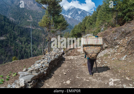 Vista posteriore di un portiere nepalese, trasporta un carico pesante, sul suo modo di Namche Bazaar, Nepal Foto Stock