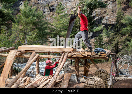 Due uomini nepalese utilizzando un enorme handsaw per costruire una casa in Himalaya regione Foto Stock