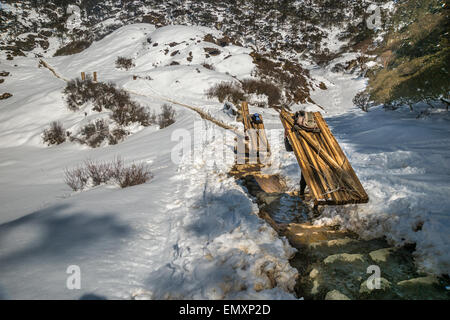 Vista posteriore di una tre portieri nepalese, trasporta un carico pesante sulla loro modi di khumjung, Nepal Foto Stock