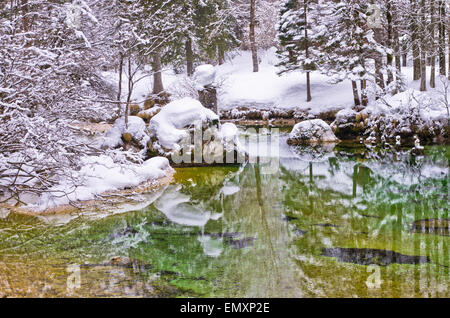 Inverno riflessioni di un alberi e rocce al fiume Sava vicino al lago di Bohinj nelle Alpi slovene Foto Stock