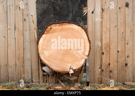 Staccionata in legno rotto mediante una struttura ad albero che è stata soffiata in una tempesta di vento, Giuseppe, Oregon. Foto Stock