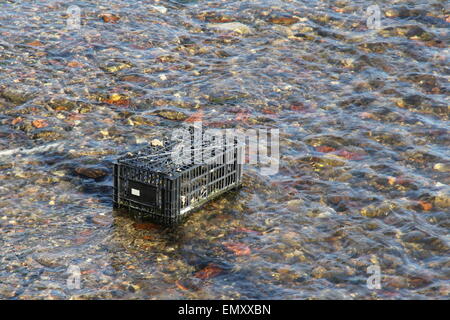 Sporco l'inquinamento del fiume con una busta di plastica e i rifiuti tossici. Si prega di cura per l'ambiente. Foto Stock