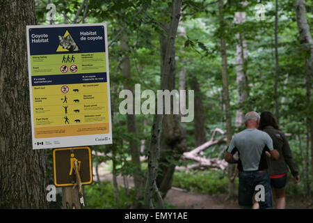 Lo Skyline Trail in Cape Breton Highlands, Nova Scotia. Foto Stock